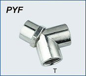 Female Y